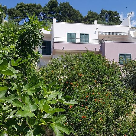 Apartments Pero Podgora Kültér fotó