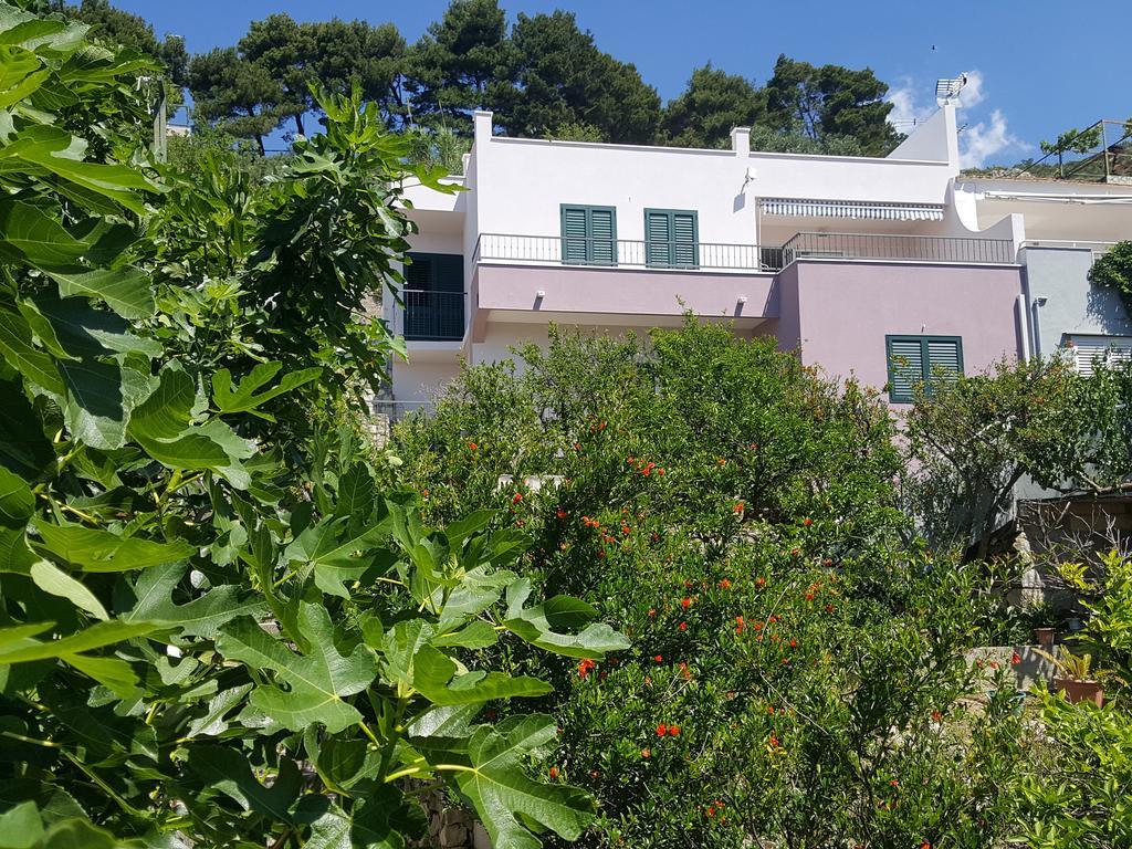 Apartments Pero Podgora Kültér fotó